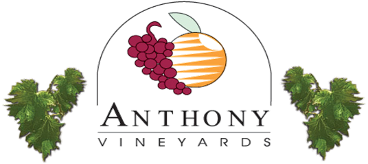 Anthony Vineyards